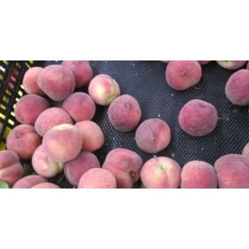 Insitu product image of Fresh Produce matting with fruit on top in supermarket