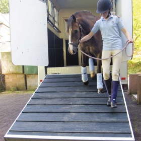 Insitu image of a ramp mat being used for reduce slipping and prevent injury to livestock such as horses